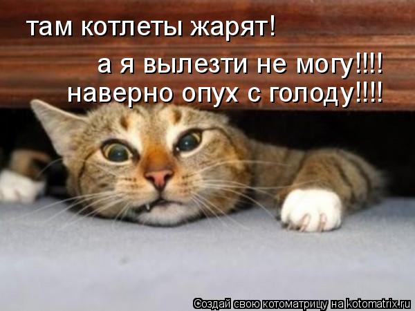 там котлеты жарят! а я вылезти не могу!!!! наверно опух с голоду!!!!... Котоматрица: там котлеты жарят! а я вылезти не могу!!!! наверно опух с голоду!!!!