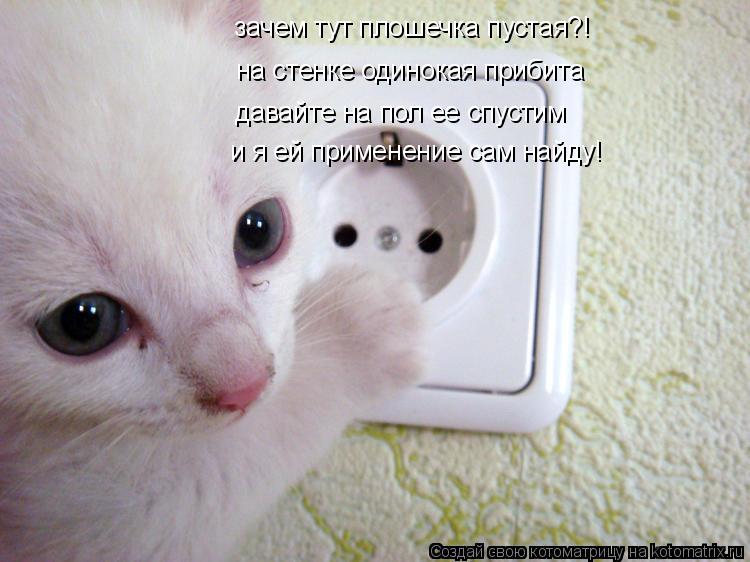зачем тут плошечка пустая?! на стенке одинокая прибита давайте на пол ее спустим и я ей применение са... Котоматрица: зачем тут плошечка пустая?! на стенке одинокая прибита давайте на пол ее спустим и я ей применение сам найду!