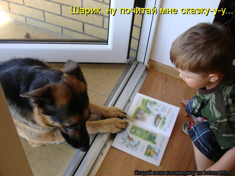 Шарик, ну почитай мне сказку-у-у...... Котоматрица: Шарик, ну почитай мне сказку-у-у...