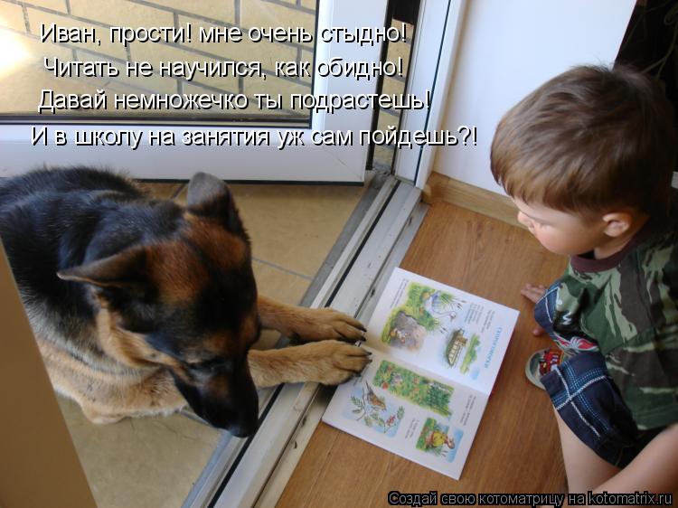Иван, прости! мне очень стыдно! Читать не научился, как обидно! Давай немножечко ты подрастешь! И в ш... Котоматрица: Иван, прости! мне очень стыдно! Читать не научился, как обидно! Давай немножечко ты подрастешь! И в школу на занятия уж сам пойдешь?!