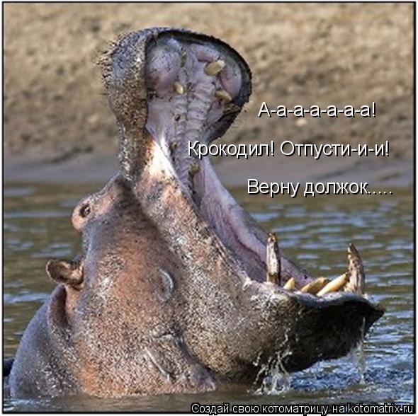 А-а-а-а-а-а-а! Крокодил! Отпусти-и-и! Верну должок........ Котоматрица: А-а-а-а-а-а-а! Крокодил! Отпусти-и-и! Верну должок.....