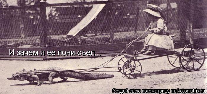 И зачем я ее пони съел...... Котоматрица: И зачем я ее пони съел...