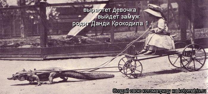 вырастет девочка выйдет замуж родит Данди Крокодила 1... Котоматрица: вырастет девочка выйдет замуж родит Данди Крокодила 1