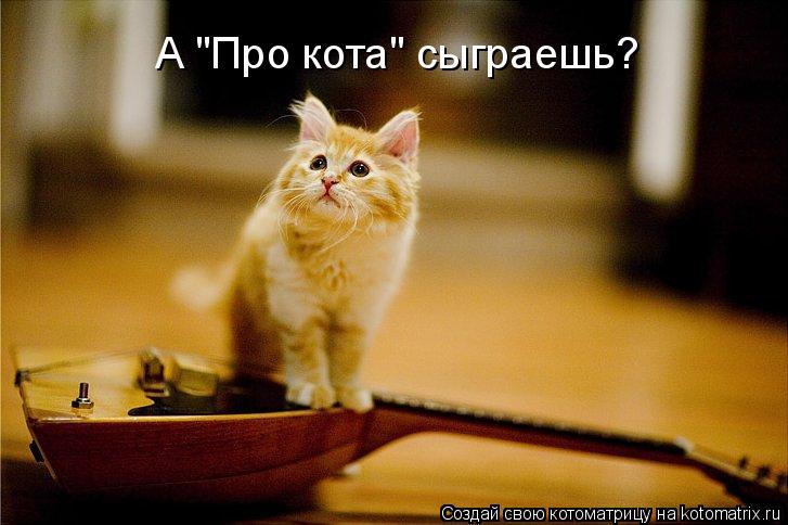А "Про кота" сыграешь?... Котоматрица: А "Про кота" сыграешь?