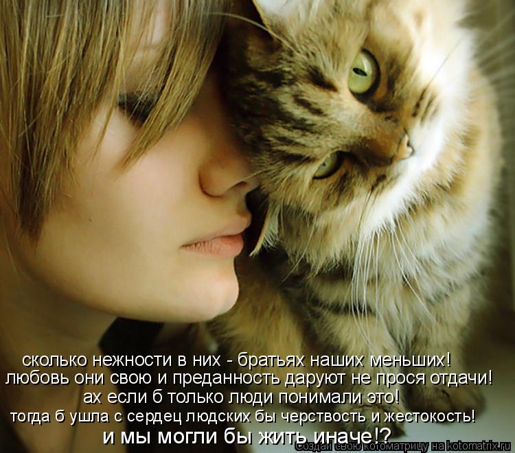 сколько нежности в них - братьях наших меньших! любовь они свою и преданность даруют не прося отдачи!... Котоматрица: сколько нежности в них - братьях наших меньших! любовь они свою и преданность даруют не прося отдачи! ах если б только люди понимали это! тог
