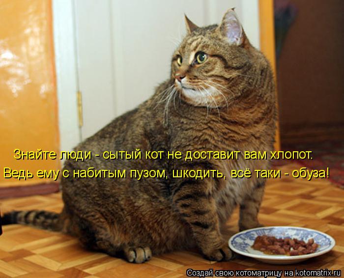 Знайте люди - сытый кот не доставит вам хлопот. Ведь ему с набитым пузом, шкодить, всё таки - обуза!... Котоматрица: Знайте люди - сытый кот не доставит вам хлопот. Ведь ему с набитым пузом, шкодить, всё таки - обуза!
