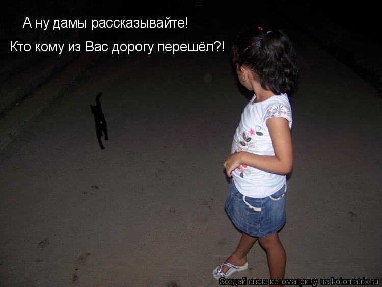 А ну дамы рассказывайте! Кто кому из Вас дорогу перешёл?!... Котоматрица: А ну дамы рассказывайте! Кто кому из Вас дорогу перешёл?!