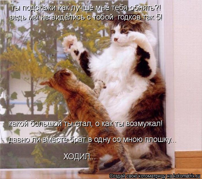ты подскажи как лучше мне тебя обнять?! ведь мы не виделись с тобой годков так 5! какой большой ты с... Котоматрица: ты подскажи как лучше мне тебя обнять?! ведь мы не виделись с тобой годков так 5! какой большой ты стал, о как ты возмужал! давно ли вместе бра