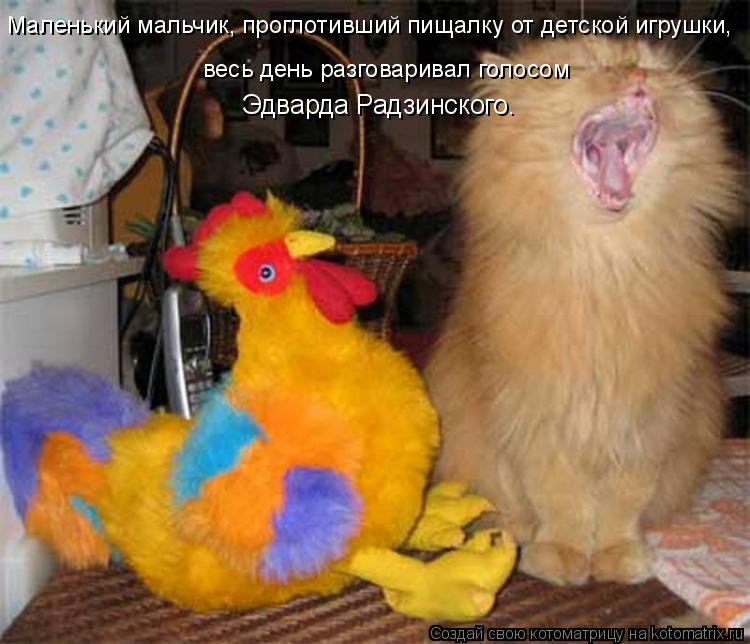 Маленький мальчик, проглотивший пищалку от детской игрушки, весь день разговаривал голосом Эдварда Ра... Котоматрица: Маленький мальчик, проглотивший пищалку от детской игрушки, весь день разговаривал голосом Эдварда Радзинского.