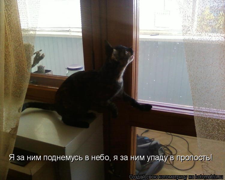 Я за ним поднемусь в небо, я за ним упаду в пропость!... Котоматрица: Я за ним поднемусь в небо, я за ним упаду в пропость!