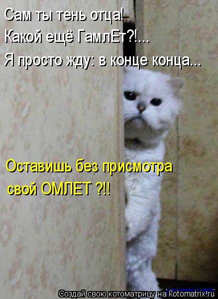 Сам ты тень отца! Какой ещё ГамлЕт?!... Я просто жду: в конце конца... Оставишь без присмотра свой О... Котоматрица: Сам ты тень отца! Какой ещё ГамлЕт?!... Я просто жду: в конце конца... Оставишь без присмотра свой ОМЛЕТ ?!!