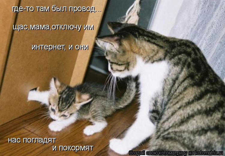 где-то там был провод... щас,мама,отключу им интернет, и они нас погладят и покормят... Котоматрица: где-то там был провод... щас,мама,отключу им интернет, и они нас погладят и покормят