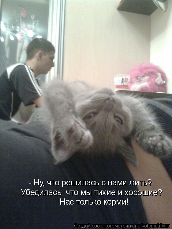 - Ну, что решилась с нами жить? Убедилась, что мы тихие и хорошие? Нас только корми!... Котоматрица: - Ну, что решилась с нами жить? Убедилась, что мы тихие и хорошие? Нас только корми!