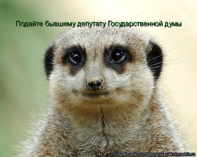 Подайте бывшему депутату Государственной думы... Котоматрица: Подайте бывшему депутату Государственной думы