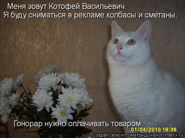 Меня зовут Котофей Васильевич. Я буду сниматься в рекламе колбасы и сметаны. Гонорар нужно оплачивать... Котоматрица: Меня зовут Котофей Васильевич. Я буду сниматься в рекламе колбасы и сметаны. Гонорар нужно оплачивать товаром.