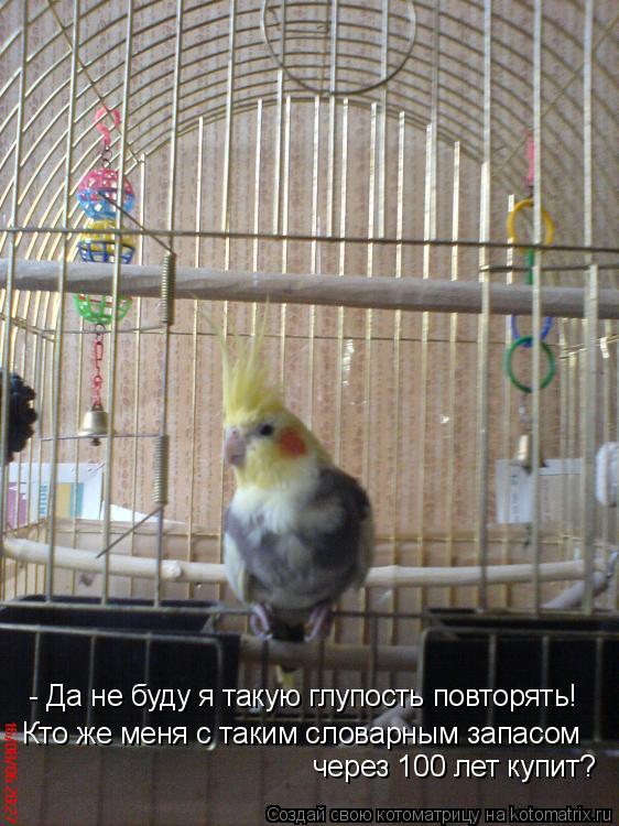 - Да не буду я такую глупость повторять! Кто же меня с таким словарным запасом через 100 лет купит?... Котоматрица: - Да не буду я такую глупость повторять! Кто же меня с таким словарным запасом через 100 лет купит?