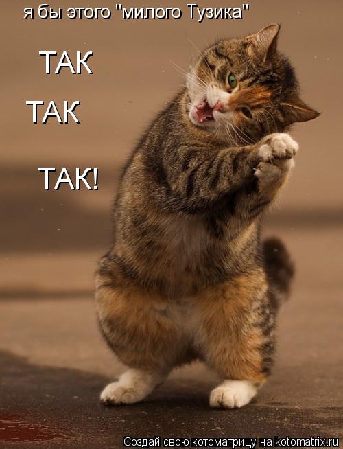 я бы этого "милого Тузика" ТАК ТАК ТАК!... Котоматрица: я бы этого "милого Тузика" ТАК ТАК ТАК!