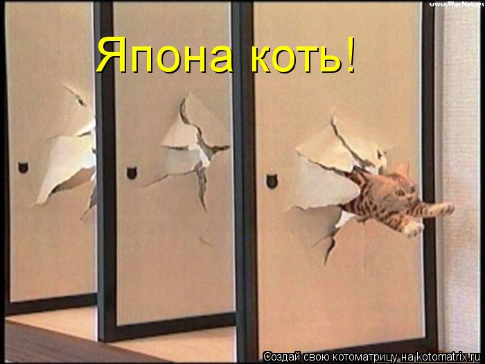 Япона коть!... Котоматрица: Япона коть!