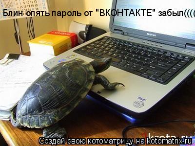 Блин опять пароль от "ВКОНТАКТЕ" забыл((((... Котоматрица: Блин опять пароль от "ВКОНТАКТЕ" забыл((((
