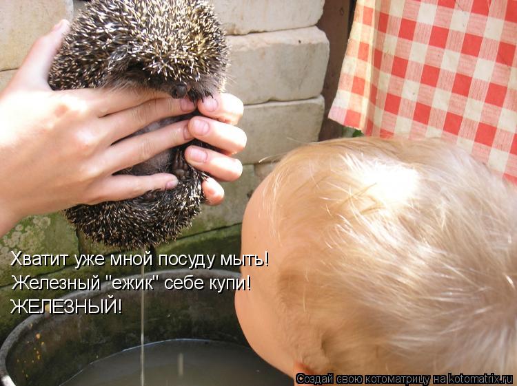 Хватит уже мной посуду мыть! Железный "ежик" себе купи! ЖЕЛЕЗНЫЙ!... Котоматрица: Хватит уже мной посуду мыть! Железный "ежик" себе купи! ЖЕЛЕЗНЫЙ!