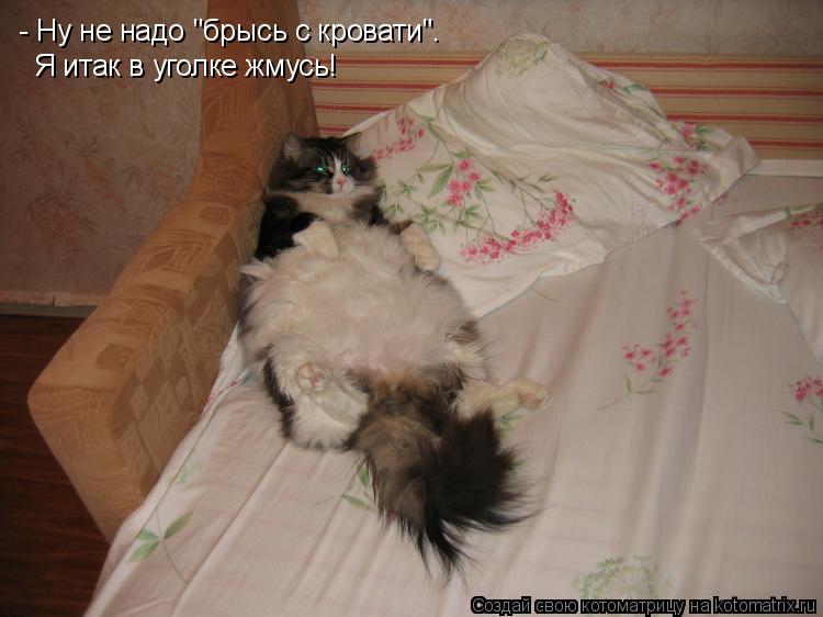 - Ну не надо "брысь с кровати". Я итак в уголке жмусь!... Котоматрица: - Ну не надо "брысь с кровати". Я итак в уголке жмусь!