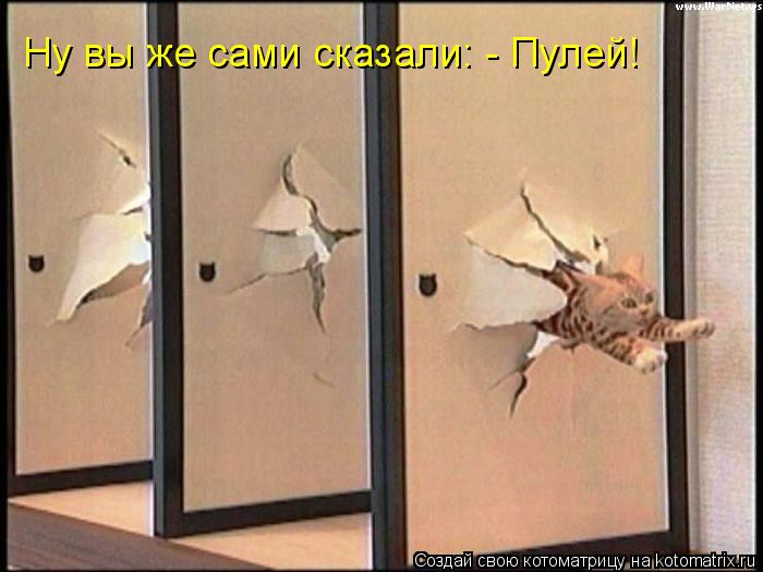 Котоматрица: Ну вы же сами сказали: - Пулей!