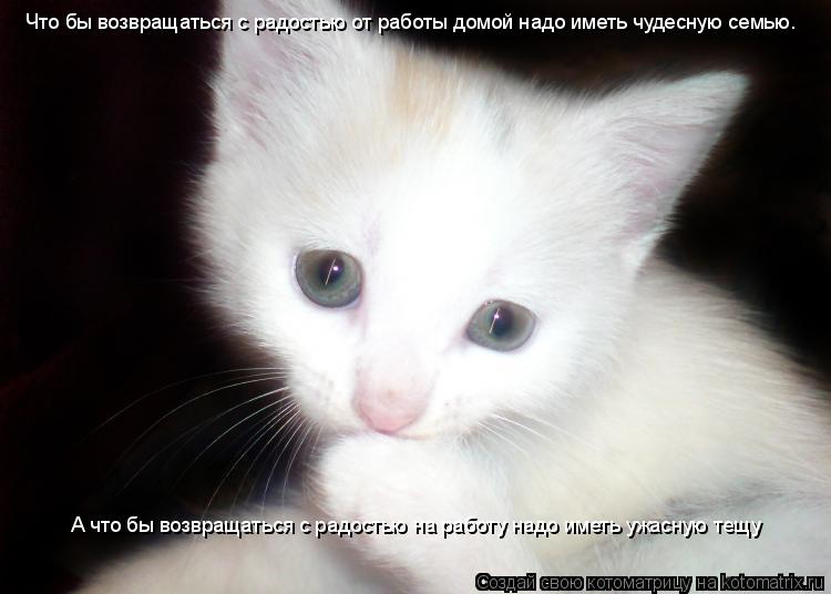 Что бы возвращаться с радостью от работы домой надо иметь чудесную семью. А что бы возвращаться с ра... Котоматрица: Что бы возвращаться с радостью от работы домой надо иметь чудесную семью. А что бы возвращаться с радостью на работу надо иметь ужасную тещ