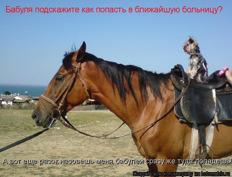 Котоматрица: Бабуля подскажите как попасть в ближайшую больницу?   А вот еще разок назовешь меня бабулей сразу же туда попадешь!