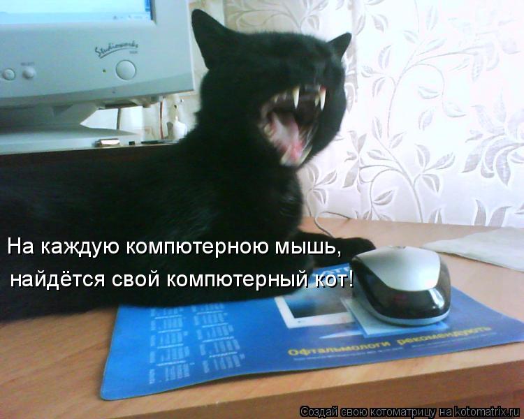На каждую компютерною мышь, найдётся свой компютерный кот!... Котоматрица: На каждую компютерною мышь, найдётся свой компютерный кот!