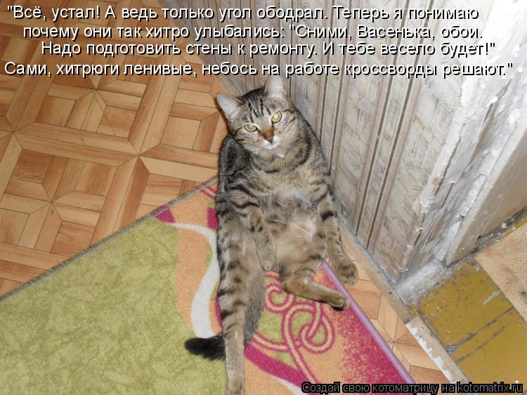"Всё, устал! А ведь только угол ободрал. Теперь я понимаю почему они так хитро улыбались: "Сними, Вас... Котоматрица: "Всё, устал! А ведь только угол ободрал. Теперь я понимаю почему они так хитро улыбались: "Сними, Васенька, обои. Надо подготовить стены к ремо