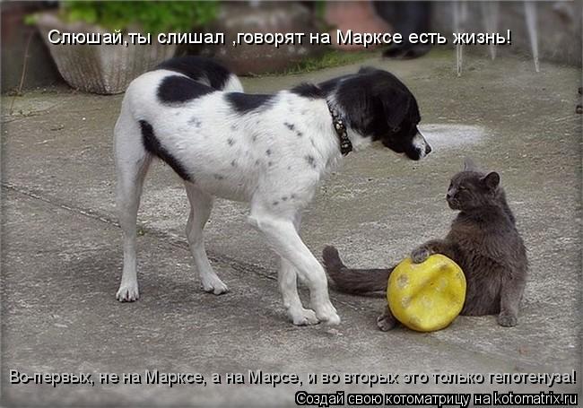 Слюшай,ты слишал ,говорят на Марксе есть жизнь! Во-первых, не на Марксе, а на Марсе, и во вторых это... Котоматрица: Слюшай,ты слишал ,говорят на Марксе есть жизнь! Во-первых, не на Марксе, а на Марсе, и во вторых это только гепотенуза!