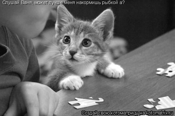 Слушай Ваня, может лучше меня накормишь рыбкой а?... Котоматрица: Слушай Ваня, может лучше меня накормишь рыбкой а?