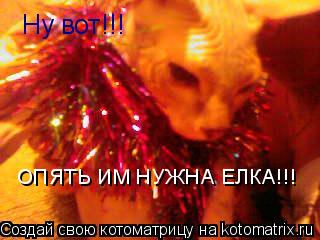 Котоматрица: Ну вот!!! ОПЯТЬ ИМ НУЖНА ЕЛКА!!!
