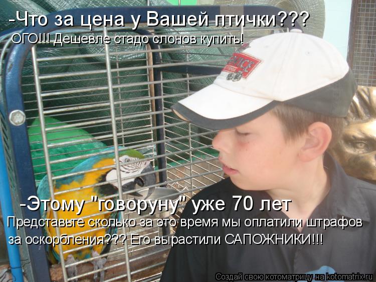 Котоматрица: -Что за цена у Вашей птички??? ОГО!!! Дешевле стадо слонов купить! -Этому "говоруну" уже 70 лет Представьте сколько за это время мы оплатили штра