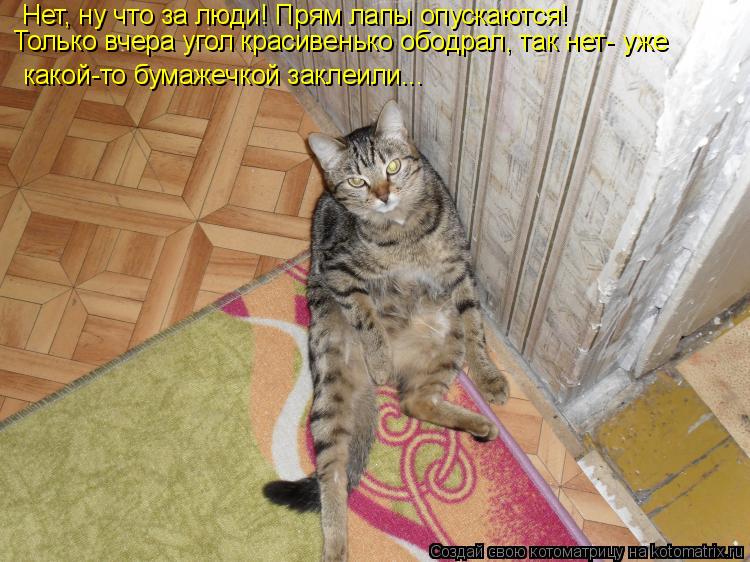 Котоматрица: Нет, ну что за люди! Прям лапы опускаются! Только вчера угол красивенько ободрал, так нет- уже какой-то бумажечкой заклеили...