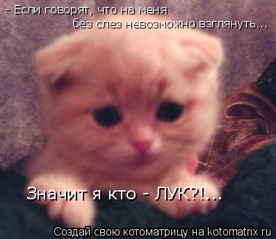 Котоматрица: - Если говорят, что на меня  без слез невозможно взглянуть... Значит я кто - ЛУК?!...