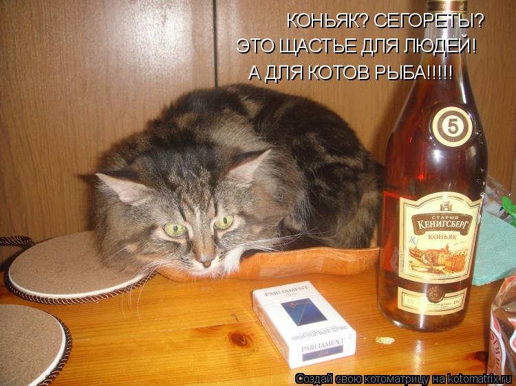Котоматрица: КОНЬЯК? СЕГОРЕТЫ? ЭТО ЩАСТЬЕ ДЛЯ ЛЮДЕЙ! А ДЛЯ КОТОВ РЫБА!!!!!