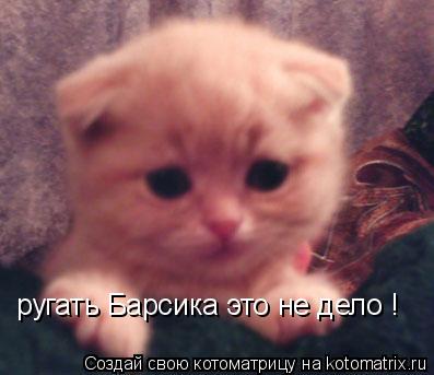 Котоматрица: ругать Барсика это не дело !