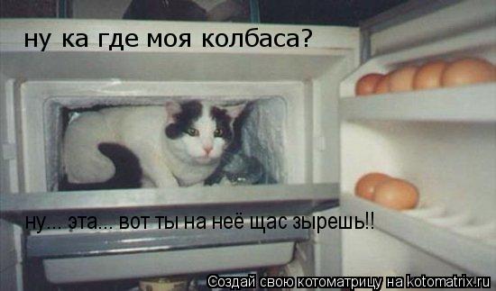 Котоматрица: ну... эта... вот ты на неё щас зырешь!! ну ка где моя колбаса?