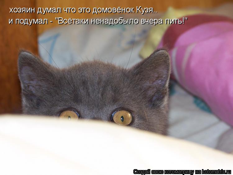 Котоматрица: хозяин думал что это домовёнок Кузя.. и подумал - "Всётаки ненадобыло вчера пить!"