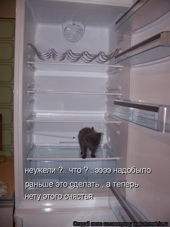 Котоматрица: неужели ?.. что ? ..ээээ надобыло раньше это сделать , а теперь нету этого счястья