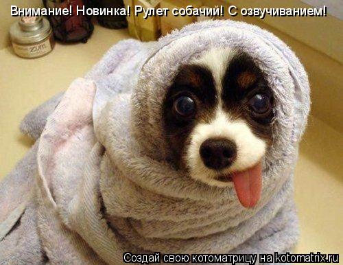 Котоматрица: Внимание! Новинка! Рулет собачий! С озвучиванием!