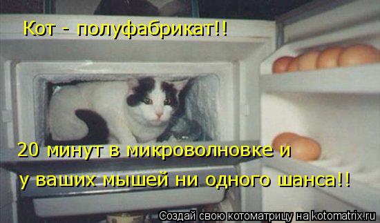 Кот - полуфабрикат!! 20 минут в микроволновке и у ваших мышей ни одного шанса!!... Котоматрица: Кот - полуфабрикат!! 20 минут в микроволновке и у ваших мышей ни одного шанса!!
