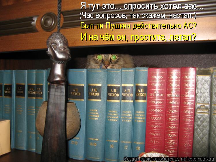 (Час вопросов, так скажем, настал.) Был ли Пушкин действительно АС? И на чём он, простите, летал? Я т... Котоматрица: (Час вопросов, так скажем, настал.) Был ли Пушкин действительно АС? И на чём он, простите, летал? Я тут это... спросить хотел вас...