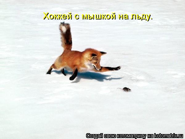 Котоматрица: Хоккей с мышкой на льду.