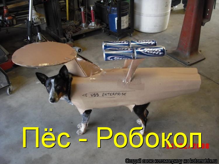 Котоматрица: Пёс - Робокоп