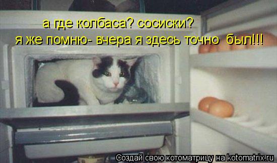 Котоматрица: а где колбаса? сосиски? я же помню- вчера я здесь точно  был!!!