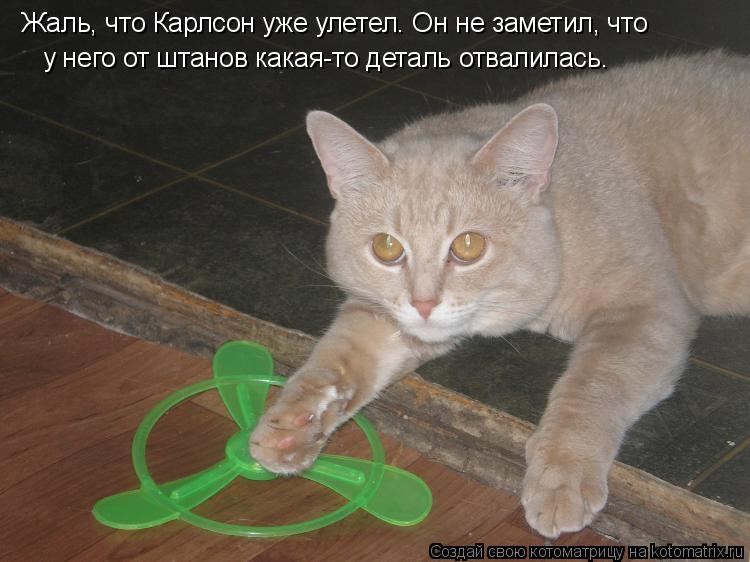 Котоматрица: Жаль, что Карлсон уже улетел. Он не заметил, что у него от штанов какая-то деталь отвалилась.
