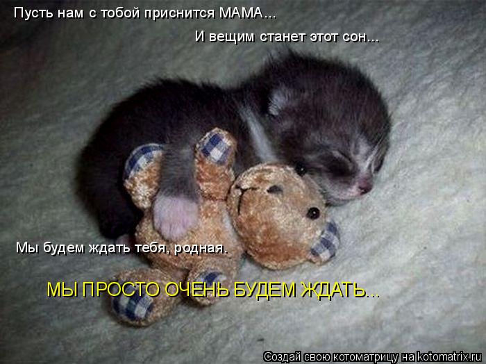 Котоматрица: Пусть нам с тобой приснится МАМА... И вещим станет этот сон... Мы будем ждать тебя, родная. МЫ ПРОСТО ОЧЕНЬ БУДЕМ ЖДАТЬ...