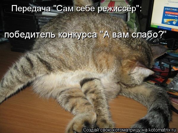 Котоматрица: Передача "Сам себе режиссёр": победитель конкурса "А вам слабо?"